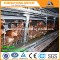 New Design Layer Chicken Cages,Broiler Chicken Cage For Sale(20 years' factory)